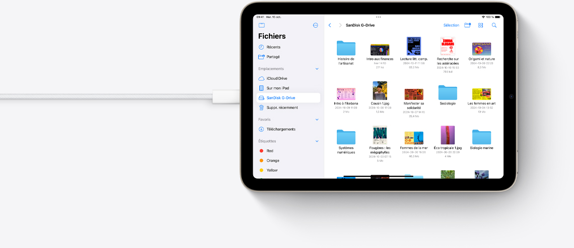 Fichiers sur un iPad mini en orientation paysage auquel est branché un cable USB-C.