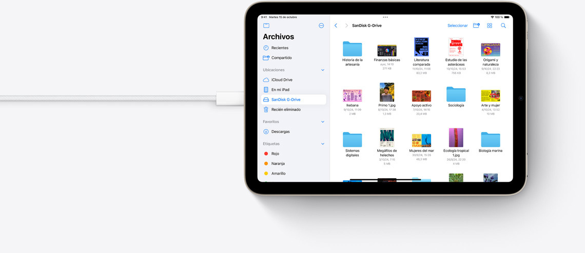 Archivos en un iPad mini en horizontal conectado a un cable USB?C.
