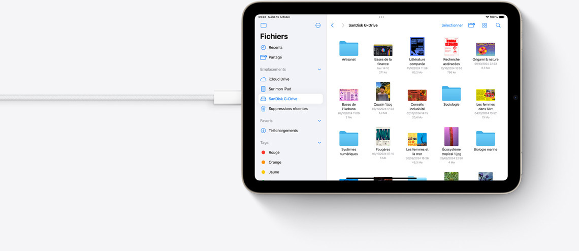 Un iPad mini en mode paysage et connecté à un cable USB-C affiche des fichiers.