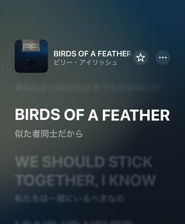 Apple Musicで再生されているビリー?アイリッシュによる「BIRDS OF A FEATHER」の歌詞の翻訳。英語から日本語に翻訳されている
