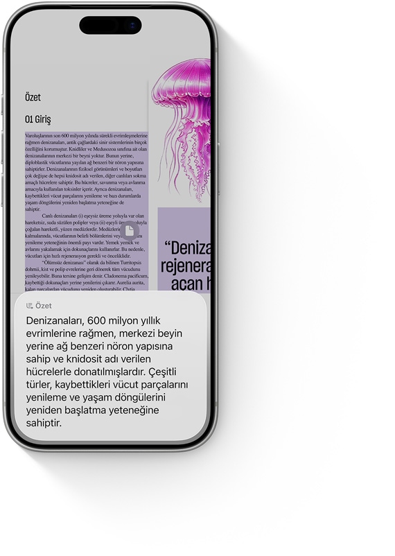iPhone’da turuncu mantar lambalar i?in yap?lan g?rsel zeka aramas? g?steriliyor; ard?ndan ekran, Etsy’deki benzer tarzda mantar lambalar?n foto?raflar?n? i?eren ?oklu g?rsel g?rünümüne ge?iyor, Etsy sekmesinin yan?nda Google ve Pinterest sekmeleri yer al?yor