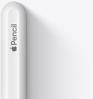 2. nesil Apple?Pencil’?n üst k?sm?, yuvarlak ucu, Apple logosu ve Pencil kelimesi g?rünüyor.
