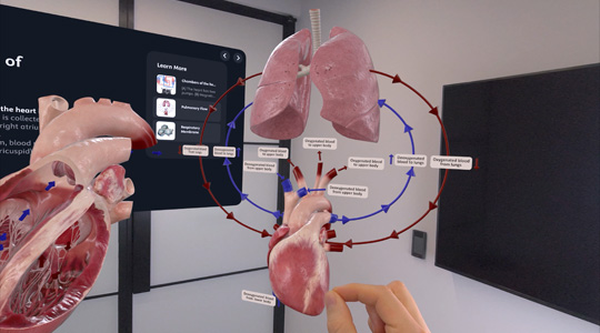 人間の心臓と肺の3Dプロジェクションと、人體の構(gòu)造に関するその他の詳細情報を手で操作している