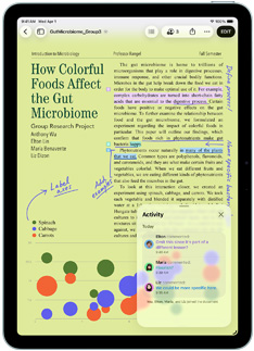iPad Air 上顯示 Pages app