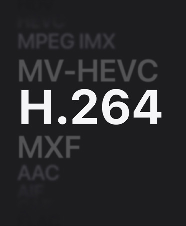 MPEG IMX, MV-HEVC, H.264, MXF, AAC ??