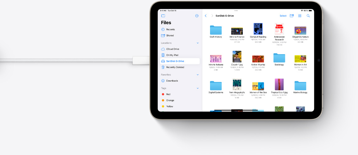 Filer vises p? en iPad mini i liggende retning som er koblet til en USB-C-kabel.